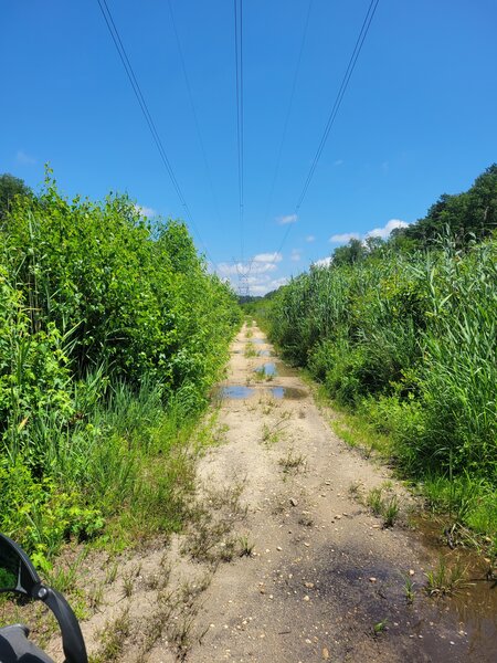 Power Line Service Road