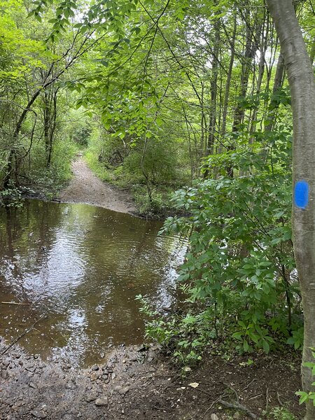 Creek running across portion of Blue Trail.