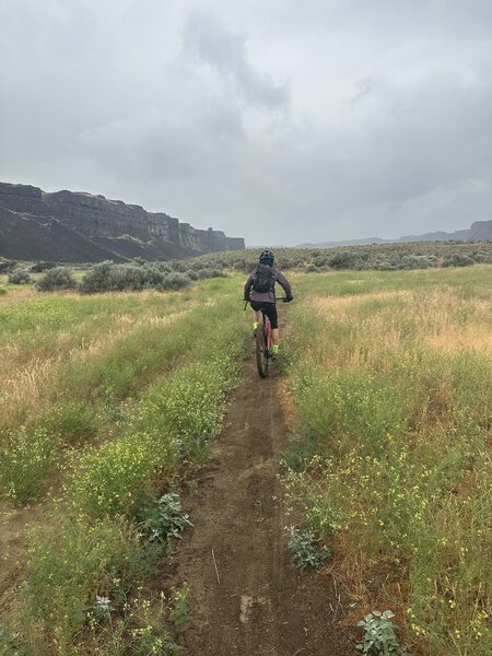 Ancient Lakes Trail.