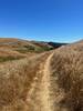 Mild climb about halfway through the trail.