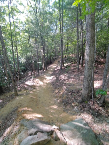 Down a hill into a rock feature, which leads into a steep berm.