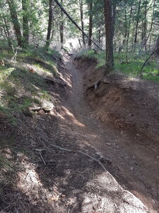 Some erosion through this section. Probably 5' deep.