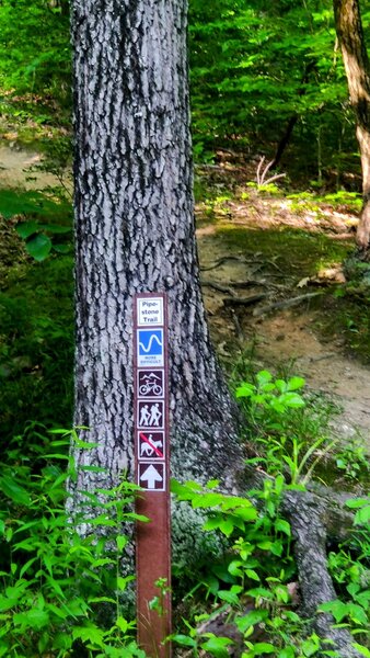 Bottom of Pipestone trail in Tuscazoar.