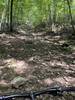 One of the steeper climbs on the trail. Shows the loose rock which makes it difficult on the downhill (and the up - for that matter).