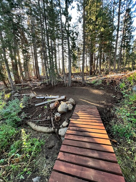 Bridge over the final creek crossing on Forbidden Forest trail.