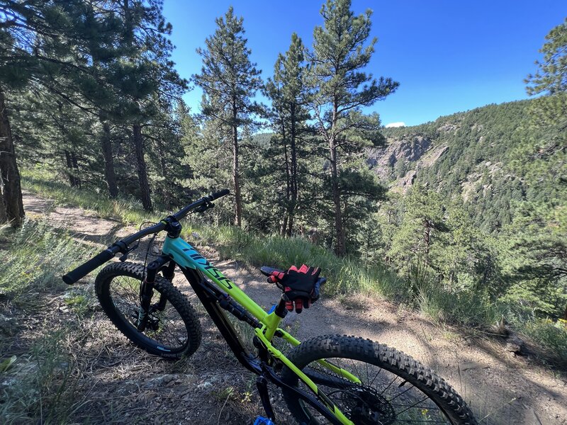 Break time on Mustang.