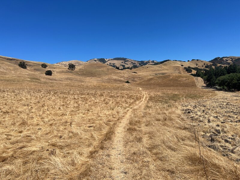 The wide open expanse of the final leg of trail, Macedo Ranch Staging Area up ahead a few hundred yards.