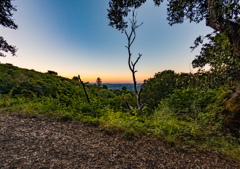 Sun setting over the valley.