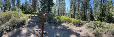 Sign indicating branch off point between Donkey Town and El Burro.