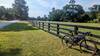 Fence line on group ride.