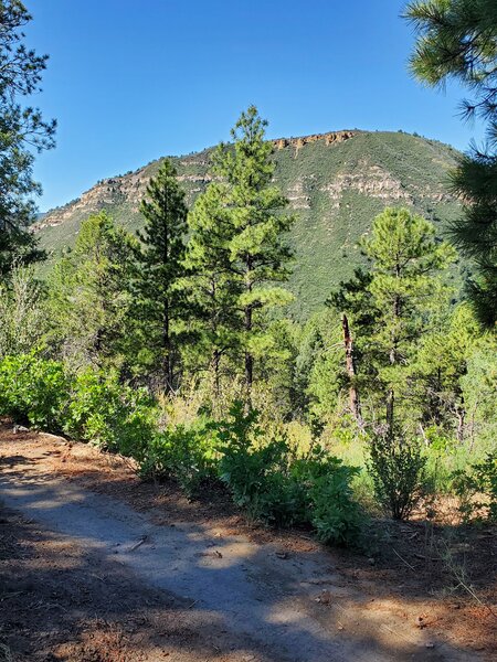 Looking west from the Twin Buttes trail.