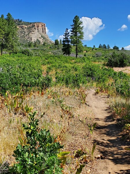 Perins Peak in the distance.