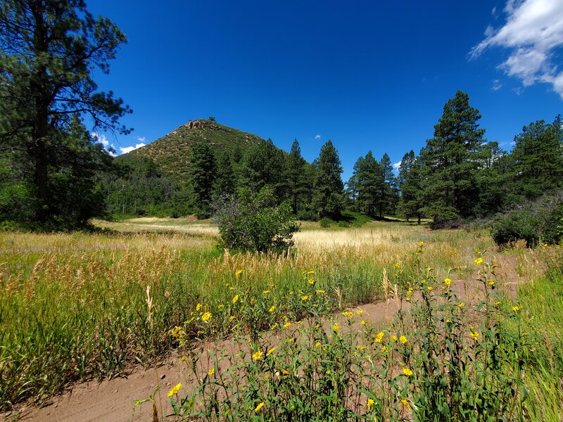 Large peaceful meadow with the smaller butte in the distance.