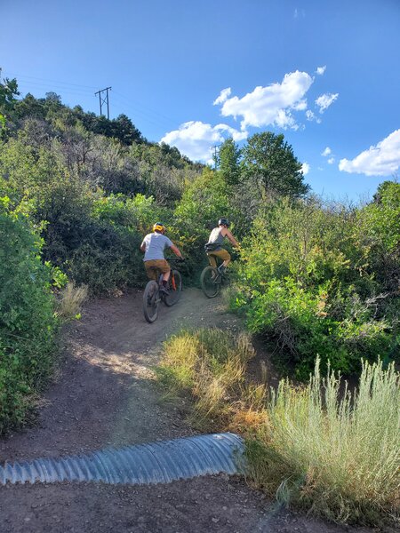 First switchback of the Hidden Valley trail.