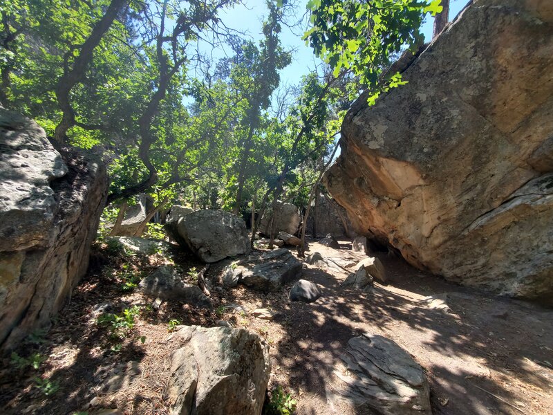 Shaded bouldering area