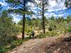 Near the trail junction with Animas Mountain Trail.