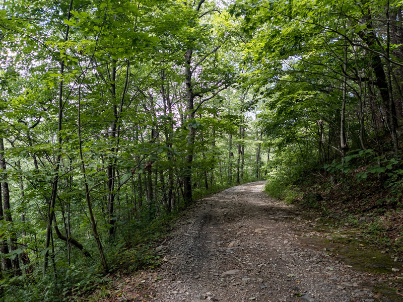 Duncan Ridge Trail Duncan Ridge Road (FS 39) - too much foliage in the summer to have a view.