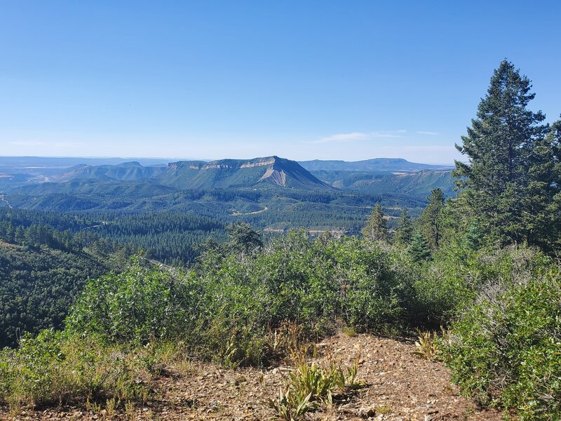 Views to the south and west from Westview Loop.