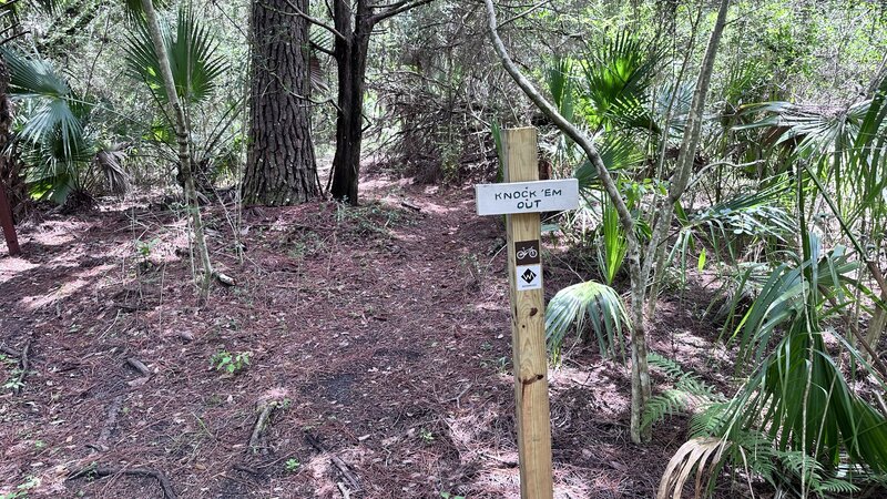 The start of the trail. Access this point from Woop Woop.