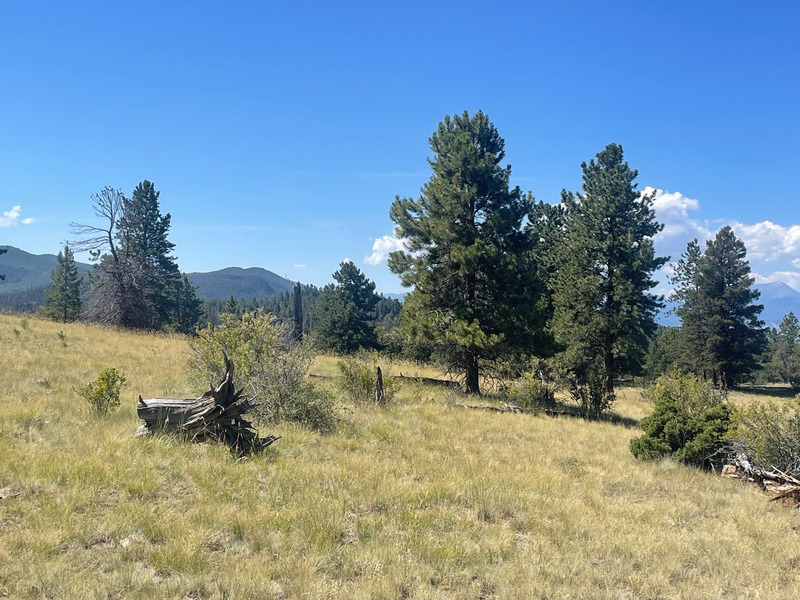 Mountain Meadows