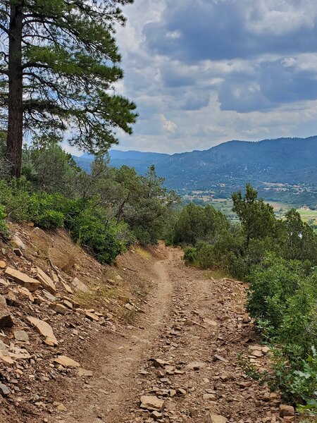 Steeper and looser in this section of trail.