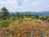 Views from near the top of Animas Mountain.