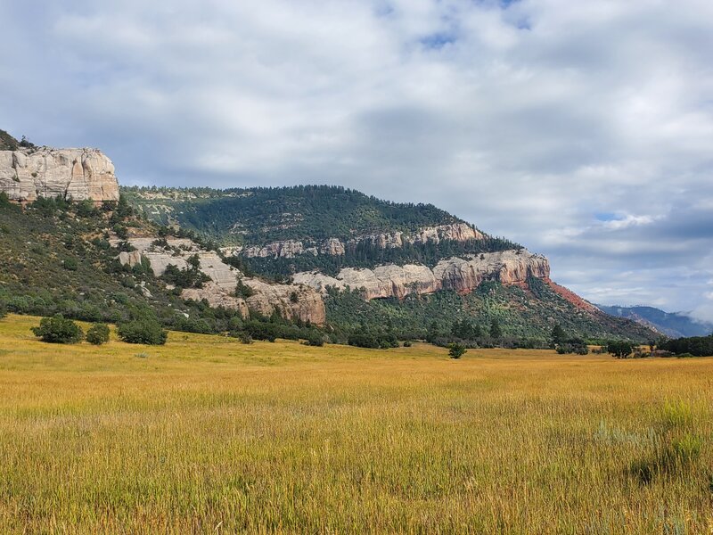 Sunflowers and pretty cliffs towards the west.