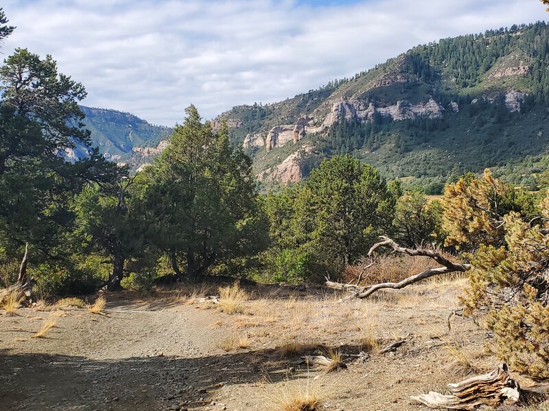 Looking south from the ridge.