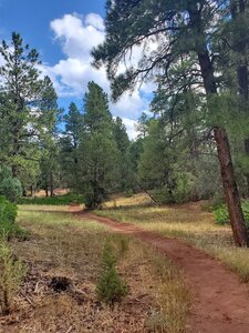 Contouring around the ridge into Animas Valley.