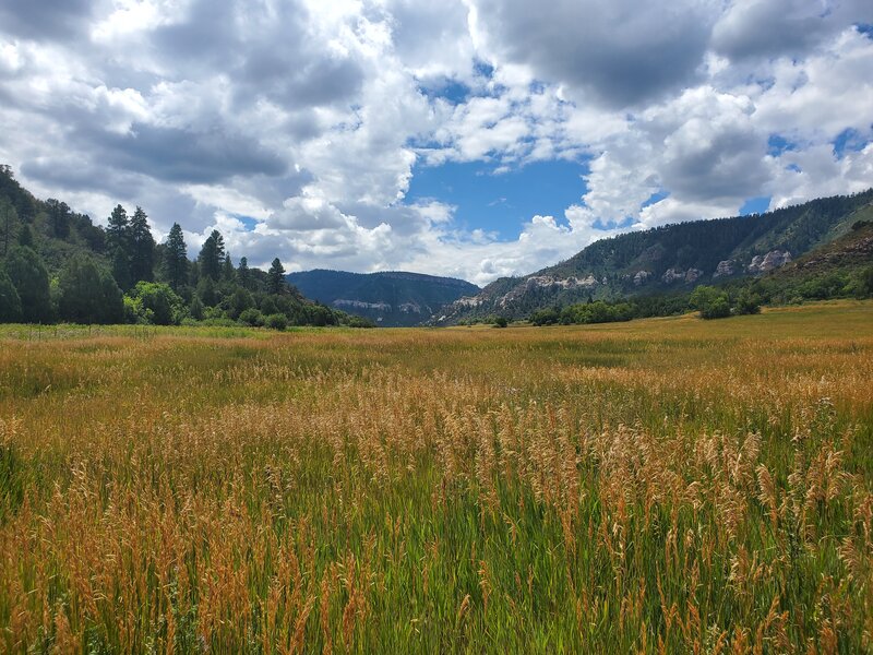 Looking south from the upper end of the valley.