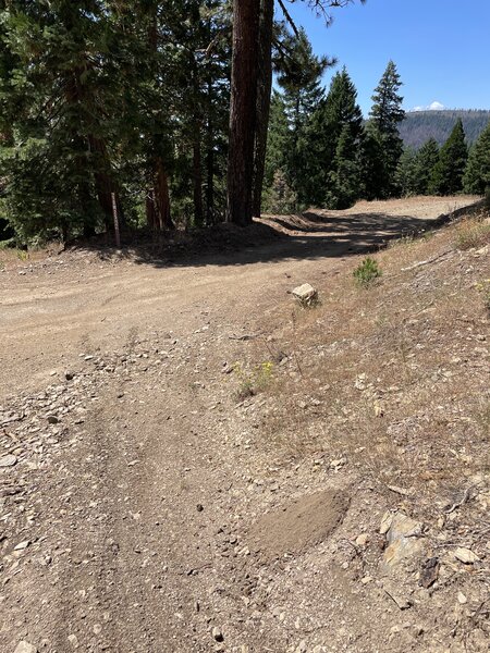 The top end of Taylor Creek trail.