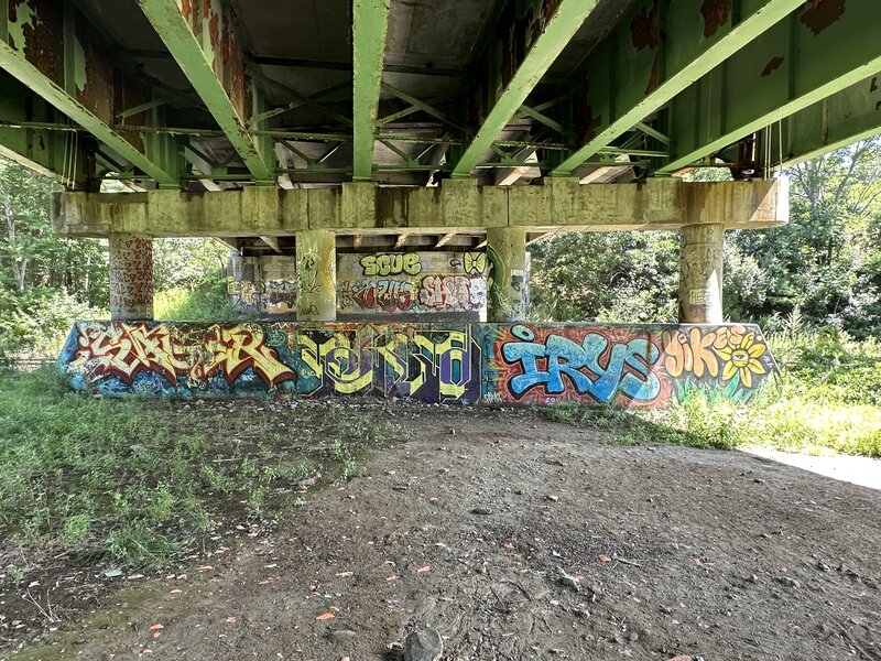 View from the I-290 underpass; one of the few areas with shade throughout the trail.