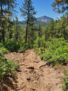 Views to the west from Logchutes Alternate Downhill and rougher trail surface.
