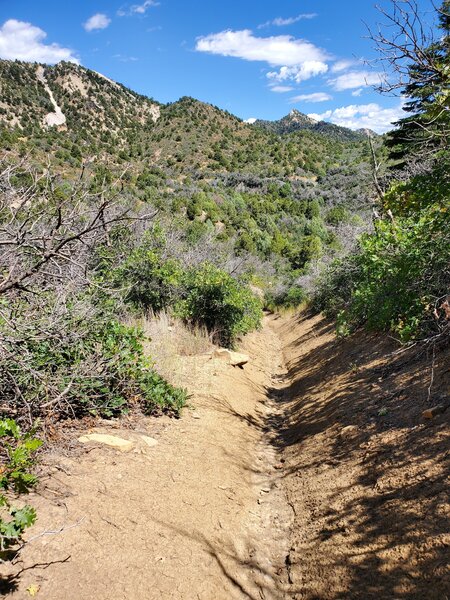 Unpleasant deep & deep trough at the end of the Telegraph Trail