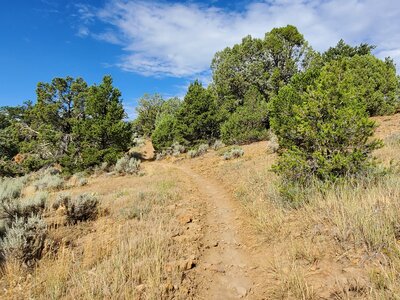 Heading west on Bandito.