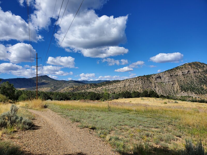 Pretty meadow on the SW end of the Powerline Trail