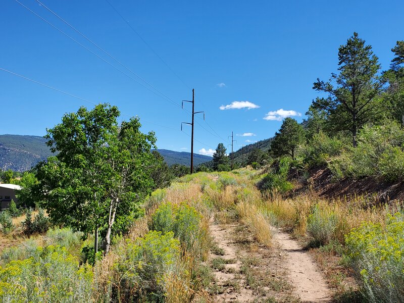 Views along the row of electrical poles that gives this trail its name.