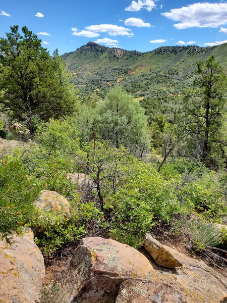 Looking northeast into Horse Gulch from Hyper-Extended Ridge.