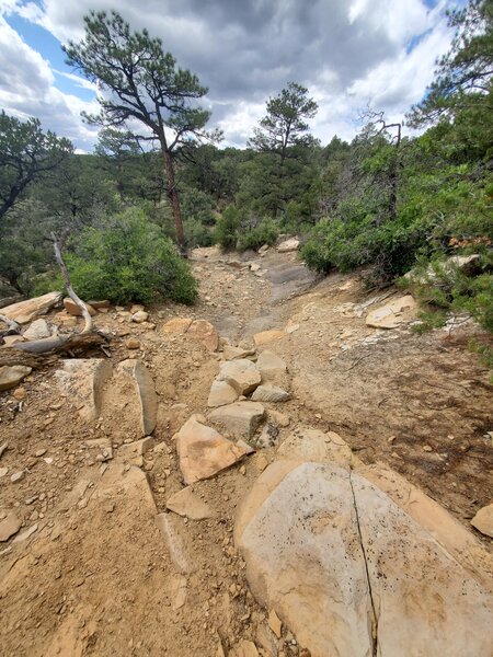 Big rocks and ledges along Rocky Road.