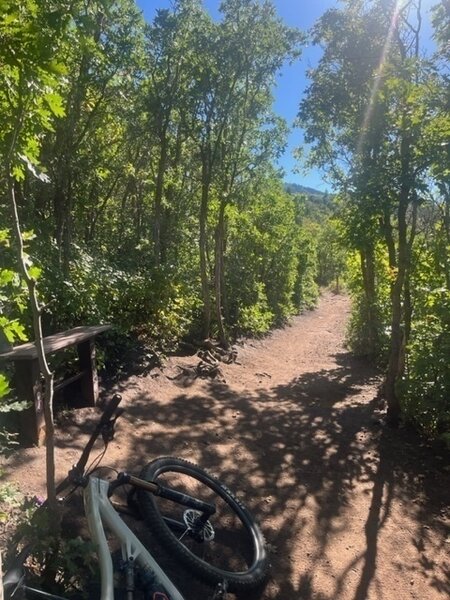 Up Trail junction to downhill-only trails.