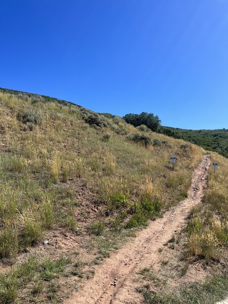 At the bottom of the 24-7 Access Trail located on Daybreaker Dr in Jeremy Ranch - connector to 24-7, Flying Dog and Bob's Basin Trails.