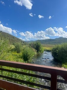 Creek Views!