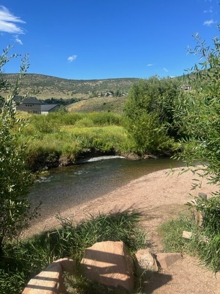 Little creek beach - perfect for families and pups!