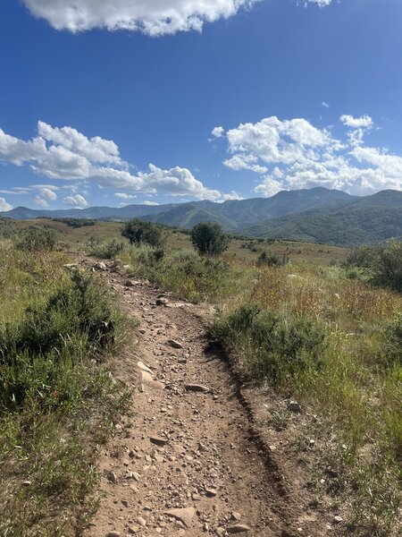 Views before you head up the final switchbacks.