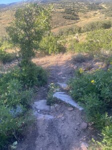 Steep rocky section.