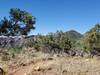 Open, grassy terrain up on the mesa.