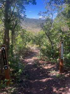 Top of Dead Reckoning - access from The Up Trail
