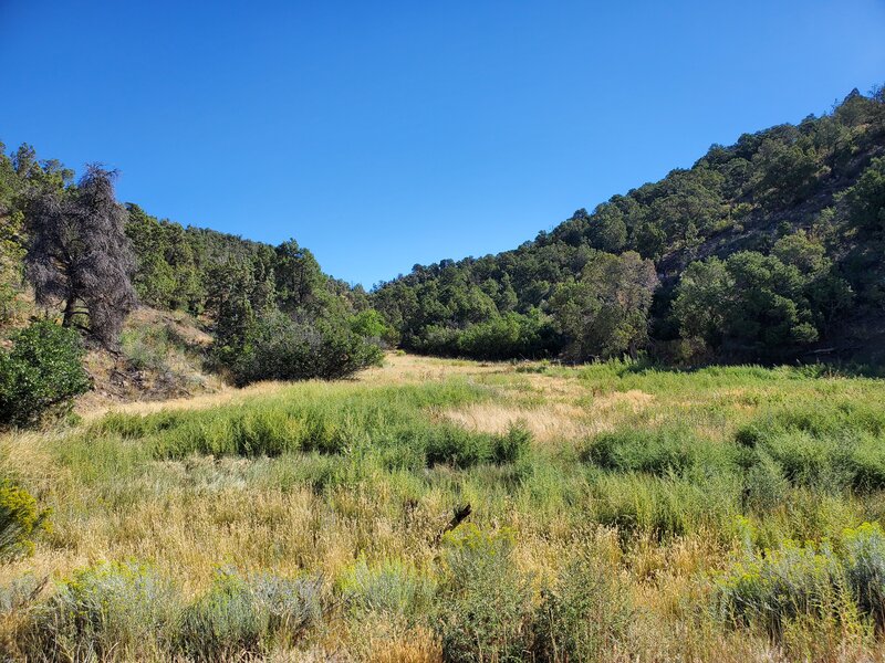 Start of Sale Barn looking upcanyon