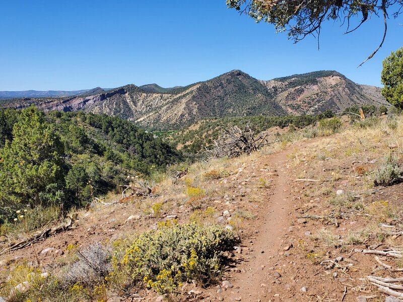 Nice easy trail surface on South Rim.