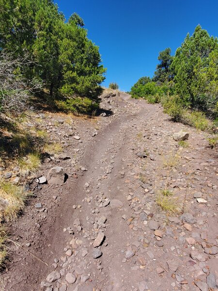 Loose and rocky steeper section of Dirt Lover